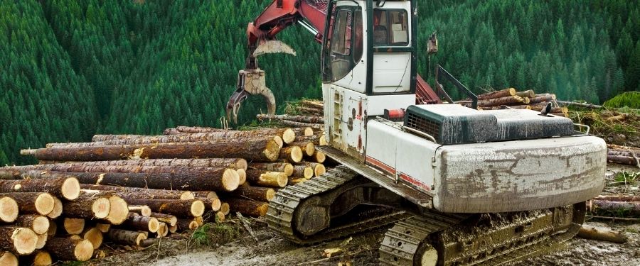 saca de madera