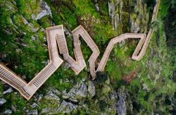 Estructuras de madera